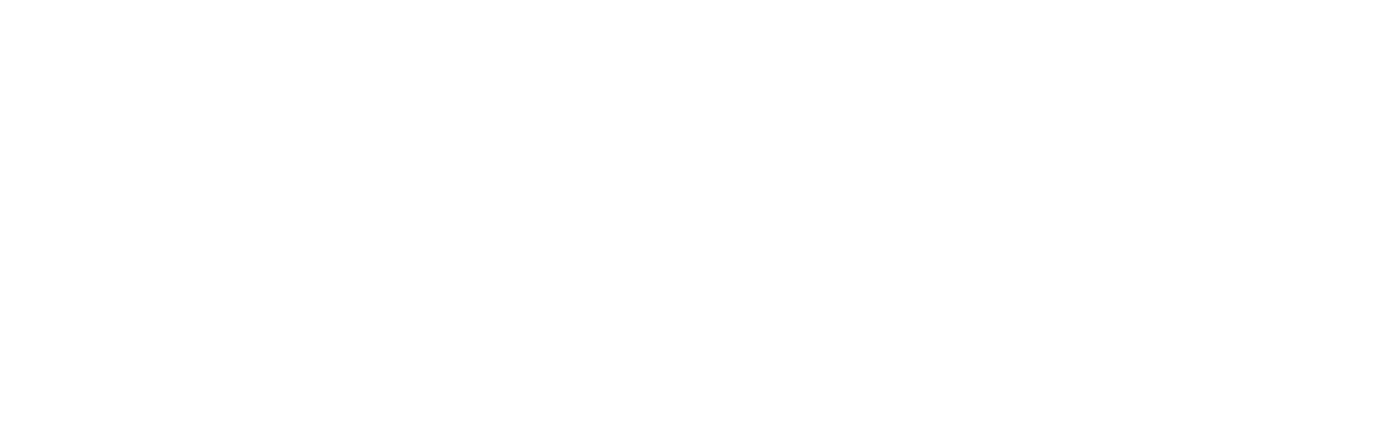 SASE logo